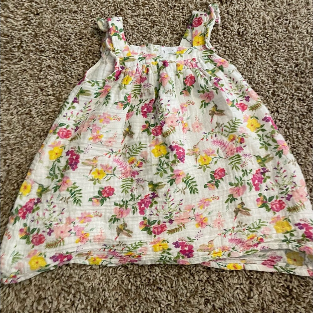 Angel Dear Floral Dress with Hummingbirds 3T NWOT